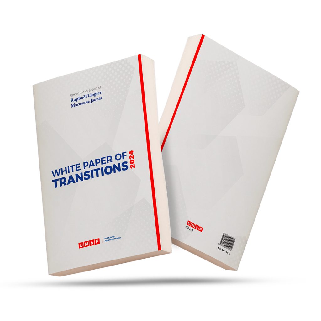White Paper of Transitions 2024