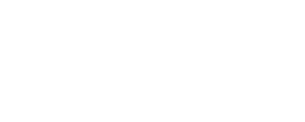 The Expert Panel